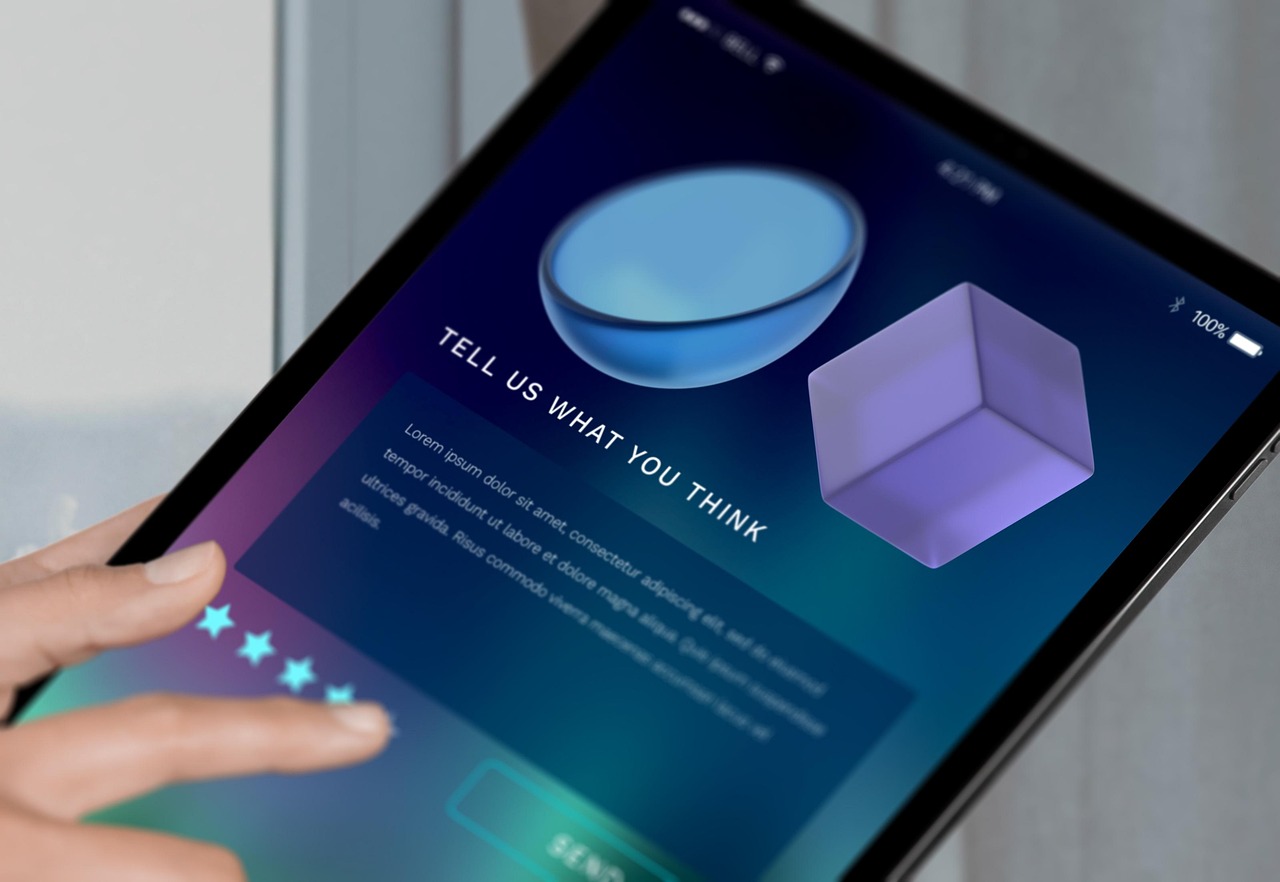 Survey Interface